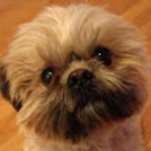 Meet your Posher, Ursula - Picture 1 of 1